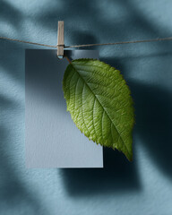 White blank card with a green leaf is hanging on the clothesline, against a blue background