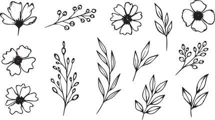 Hand-drawn floral elements including flowers leaves and branches simple botanical vector illustrations for design projects