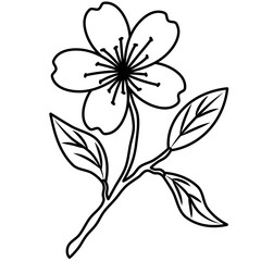 Cherry blossom line art. Hand drawn cherry blossom flower outline illustration. Spring floral design element. Black and white botanical sketch. Idea for tattoo, card, print, invitation, decorative.
