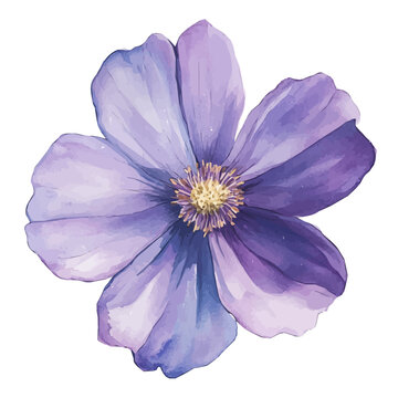 Watercolor_style_painting_of_a_cosmos_flower_on_a_white_Hand-painted watercolor design, vectorized, painting style, vector set available in EPS format