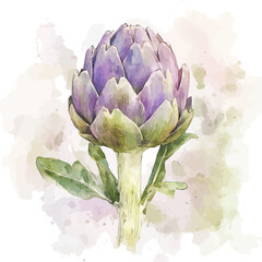 Fototapeta premium Watercolor_style_painting_of_fresh_artichoke_on_a_white_Hand-painted watercolor design, vectorized, painting style, vector set available in EPS format