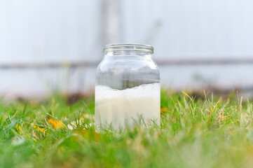 A glass jar with non-homogenized, whole milk
