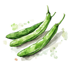 Watercolor_style_painting_of_fresh_green_bean_on_a_whit_Hand-painted watercolor design, vectorized, painting style, vector set available in EPS, simple design