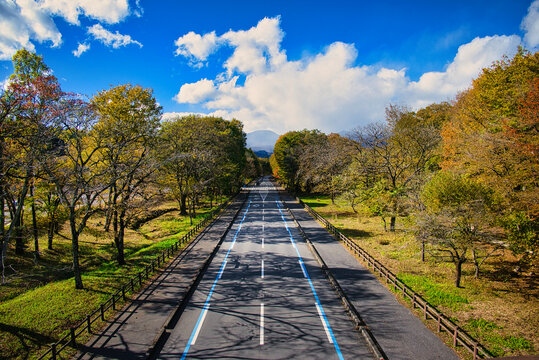 日光だいや川公園に渡る歩道橋の上から見た、紅葉に染まる木々と秋晴れの素晴らしい風景