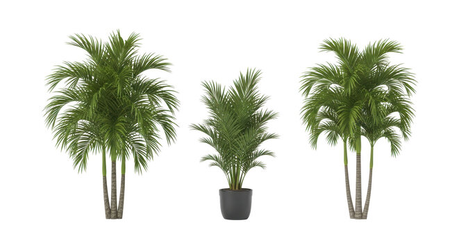 Bring the tropics home with these realistic palms adding lush texture and vibrant greenery to any space today