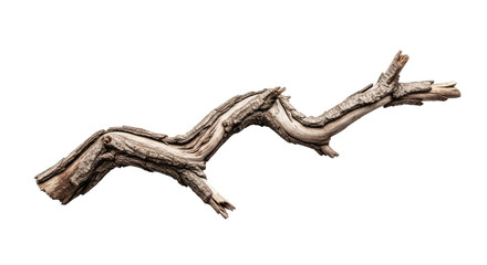 Obraz premium Closeup of a Twisted Dry Tree Branch 1.