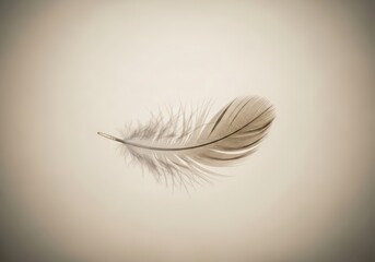 Delicate Feather Floating Gracefully on Soft Beige Background