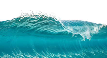 Dramatic ocean wave cresting with white foam against a black background for impact