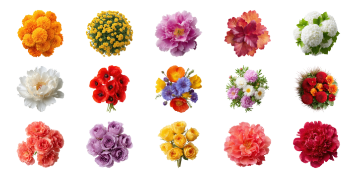 Colorful Flower Bouquet Collection Set. Floral Arrangement And Decoration Ideas Collection Isolated On Transparent Background