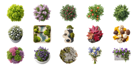 Various Decorative Plant And Floral Arrangements Set. Nature And Home Decor Collection Isolated On Transparent Background
