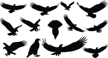 Set of Majestic Eagle Silhouettes, Flying and Perching Birds of Prey, Detailed Vector Illustration Pack for Wildlife, Nature, and Sport Design Projects, Hunting Logo Elements