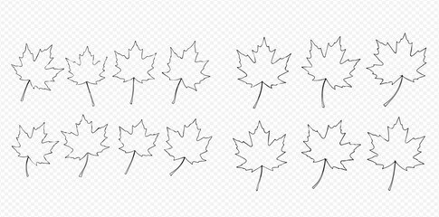 Outlined maple leaves arranged in two rows on a transparent background.