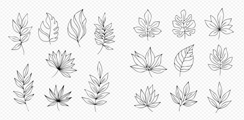 Botanical line art: A collection of diverse leaf illustrations.