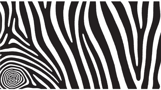 an abstract illustration depicting a swirling pattern of bold black and white stripes reminiscent of a zebra hide silhouette on transparent background
