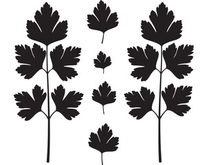 Obraz premium a collection of intricately detailed parsley leaf silhouettes arranged in varied sizes and shapes ideal for design projects on transparent background silhouette