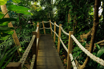 Obraz premium A narrow wooden walkway with braided rope railings winds through dense green tropical foliage, evoking a sense of adventure and serene natural exploration in an indoor rainforest setting.