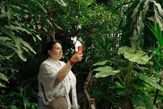 A woman captures a photo with her smartphone while exploring a vibrant tropical greenhouse filled with dense green foliage and natural light. Stock photo - Powered by Adobe