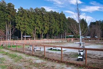 ワンちゃんたちに大人気の広々としたドッグラン