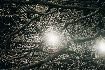 Boy in winter coat is holding a large snowball in a snowy environment, with trees and a stone path in the background, showcasing a fun winter activity