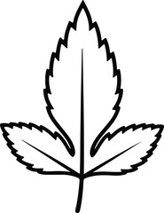 Illustration rose leaf black line art botanical silhouette vector