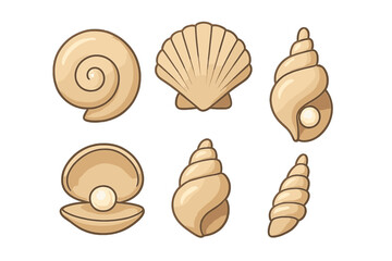 Six marine seashells including spiral conch, scallop, and clam shells with pearls
