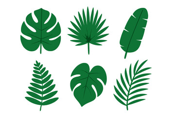 Set of exotic green tropical foliage elements and jungle leaves isolated on white background