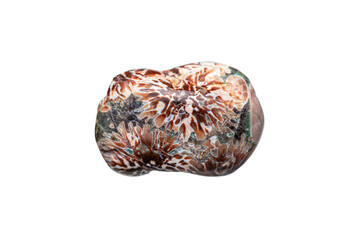 Flower Rhyolite (Green Flower Jasper) gemstone, the composition of Bird’s Eye Rhyolite and Green Jasper a newly discovered in 2020s