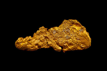 Closeup natural native gold nugget show quartz sand stone deposit on matrix