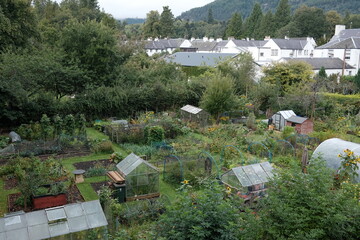 rural area allotment scene