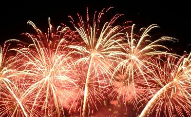 Fireworks display during the night