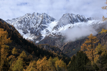 Beautiful high altitude forest mountain landscape in autumn