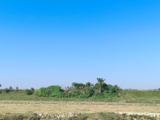 Serene farmland landscape with a clear blue sky, ideal for peaceful rural scenes and agricultural...