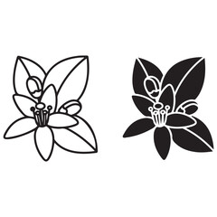 Graphic Blossom Design in Outline and Silhouette Styles