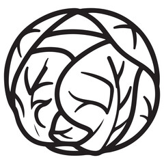 Stylized Cabbage Vegetable Line Art Illustration