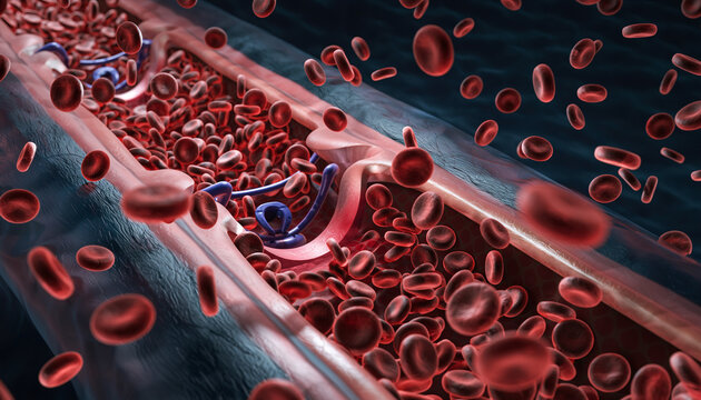 red blood cells - Powered by Adobe