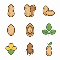 Peanut Icons Set – Groundnut, Shell, Seeds, Plant, Flower and Root Vector Illustration