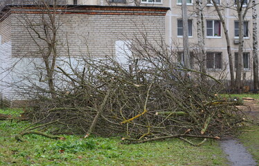 A pile of cut, dry tree branches lies on the lawn in the yard near the brick wall