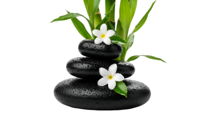 Stacked wet black stones with bamboo and white flowers Keywords: spa, wellness, zen, balance