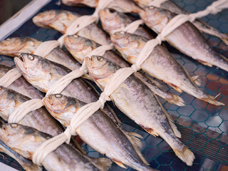 Fish tied and hung , dried yellow corvina,