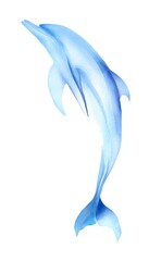 Fototapeta premium Serene watercolor dolphin portrait evokes calm ocean depths a gentle marine art piece