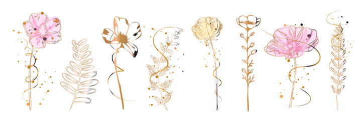 Delicate botanical illustration featuring flowers, leaves and stems in elegant line art style with decorative natural details.