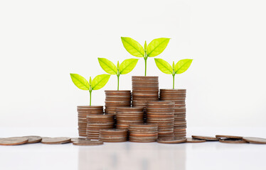 coin stack money saving concept. green leaf plant growth on rows of coin on white background. money matters tips to investment and business financial banking for Financial Wellness.money management.