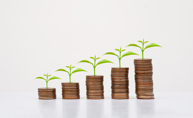 coin stack money saving concept. green leaf plant growth on rows of coin on white background. money matters tips to investment and business financial banking for Financial Wellness.money management.