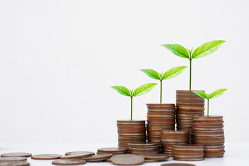 coin stack money saving concept. green leaf plant growth on rows of coin on white background. money matters tips to investment and business financial banking for Financial Wellness.money management.