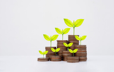 coin stack money saving concept. green leaf plant growth on rows of coin on white background. money matters tips to investment and business financial banking for Financial Wellness.money management.