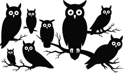Selbstklebende Fototapeten Eulen Black owl silhouette set, seven different owls perched on branches, with large white eyes, vector collection.  © Md Rofequl Islam