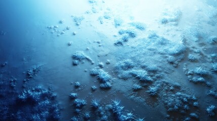 Fototapeta premium Abstract close-up of icy blue surface with intricate patterns, showcasing texture of frost and frozen elements under soft ambient light