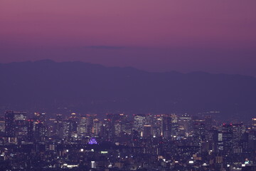 Obraz premium 大阪平野夜景とビル街に浮かび上がる紫色にライトアップされた大阪城