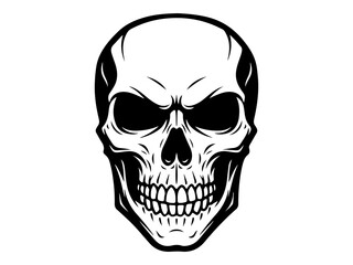 skull on a black background