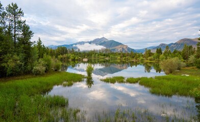 Serene Lake Reflecting Mountains and Sky Amidst Lush Greenery